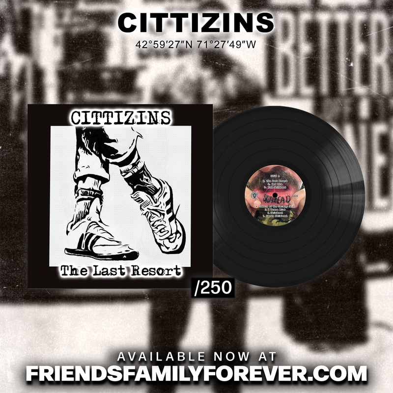 Load image into Gallery viewer, Cittizins - The Last Resort LP
