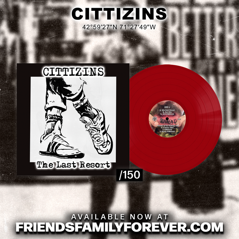 Load image into Gallery viewer, Cittizins - The Last Resort LP
