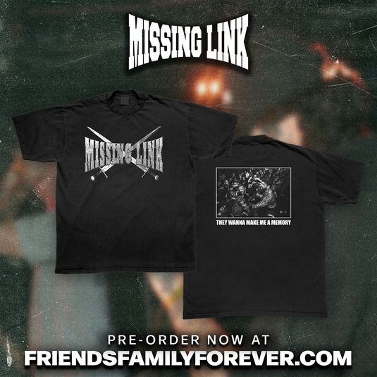 Missing Link - Memory